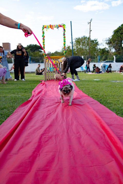 Foto do Pugnic 2026